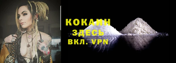 дурь Дмитриев