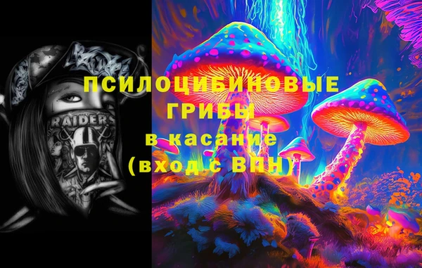 apvp Аркадак