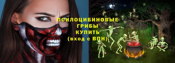 apvp Аркадак