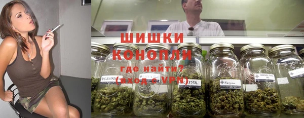 apvp Аркадак