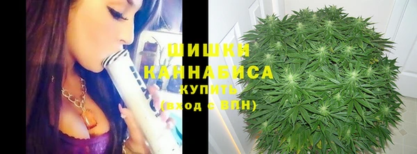apvp Аркадак